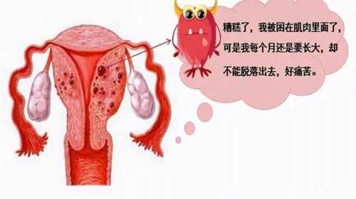 精因宝贝生殖中心是合法的吗[供卵移植囊胚],2023江苏三代试管婴儿医院排名附