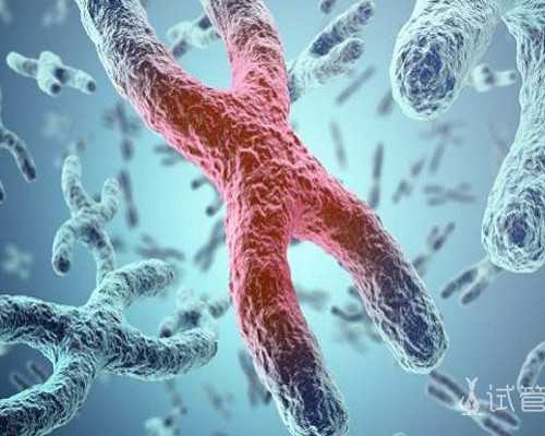 2025海南三代借卵无子宫试管能选性别吗？附详细介绍？