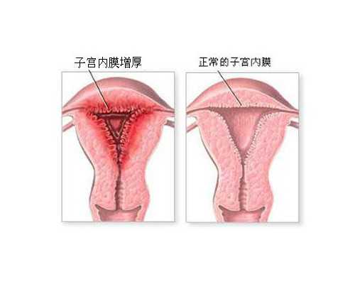 普陀山求子“超灵验”不容错过，附求子攻略让你全程无忧？