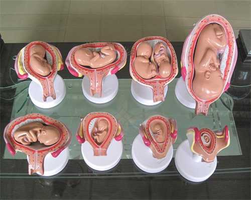 柬埔寨皇家医院谁去过：子宫息肉会影响怀孕？