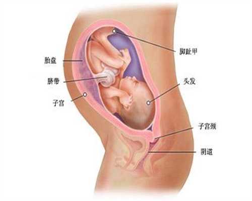 广州七星助孕是真的吗：女性受孕成功的前兆 这