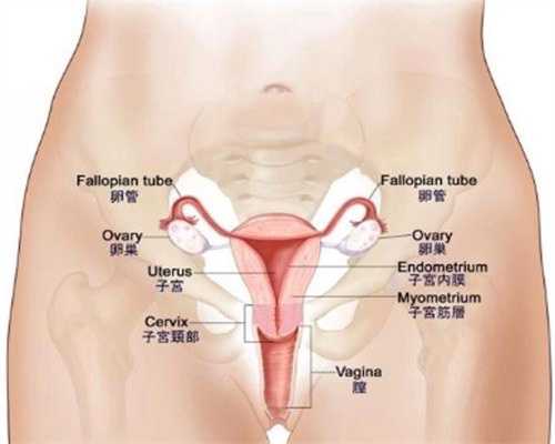南京助孕生殖中心：孕期导致胎儿缺氧的三个习