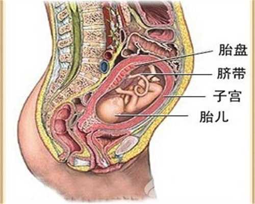 借腹生子助孕包成功：孕前体重影响怀孕，以下