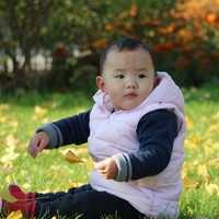 神州中泰孕育公司是真的吗_上海三代供卵试管婴儿价格多少钱？10万够吗？